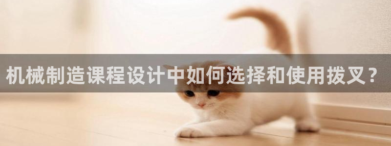 摩根国际娱乐宝在哪里