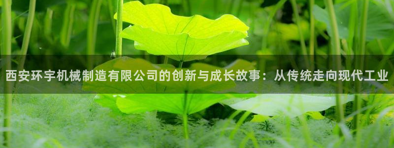 摩根国际 亚太 娱乐宝