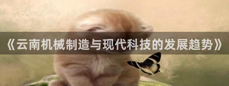 摩根国际娱乐会所