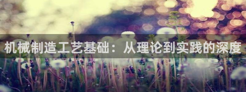 摩根娱乐黑别人网站