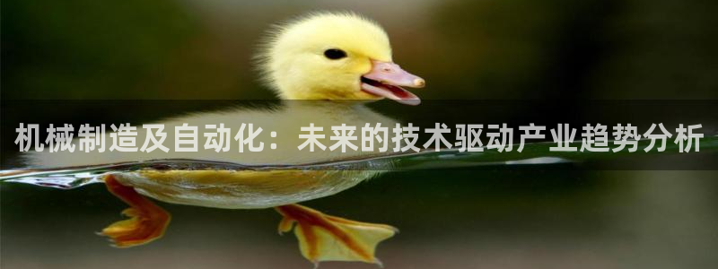 摩根娱乐宝怎么盈利