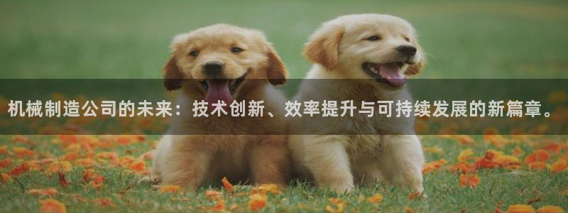 摩根大通黄金娱乐