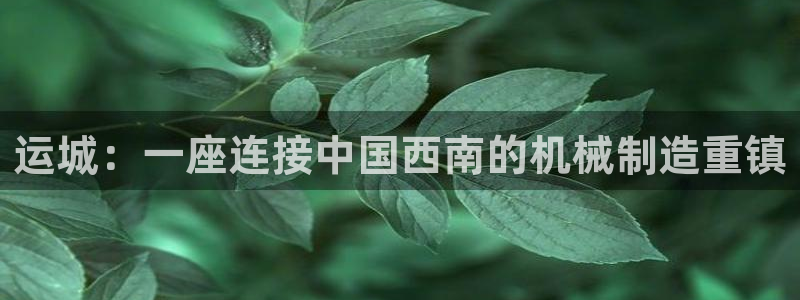 摩根娱乐挂机项目