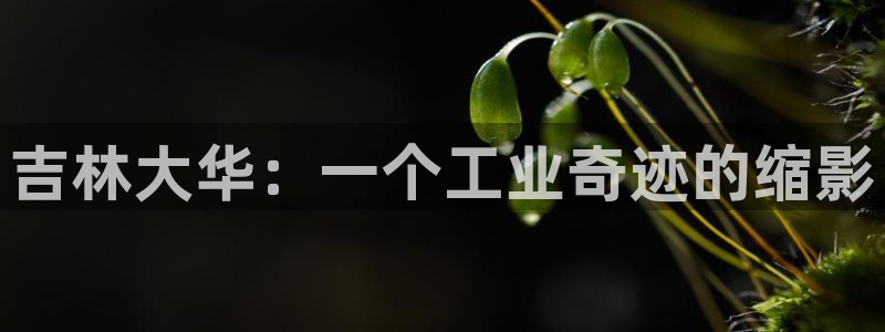 泉州摩根娱乐会所