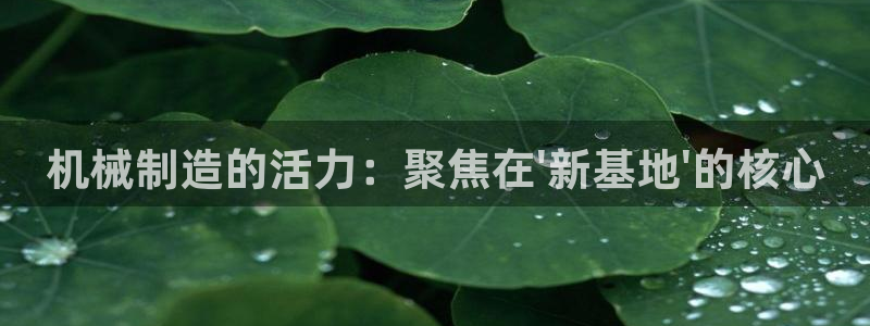 摩根娱乐宝是什么