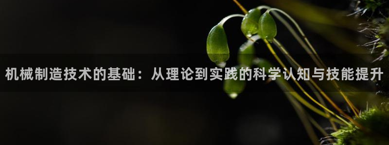 摩根娱乐是骗局吗?