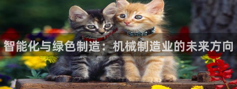 摩根娱乐宝APP下载