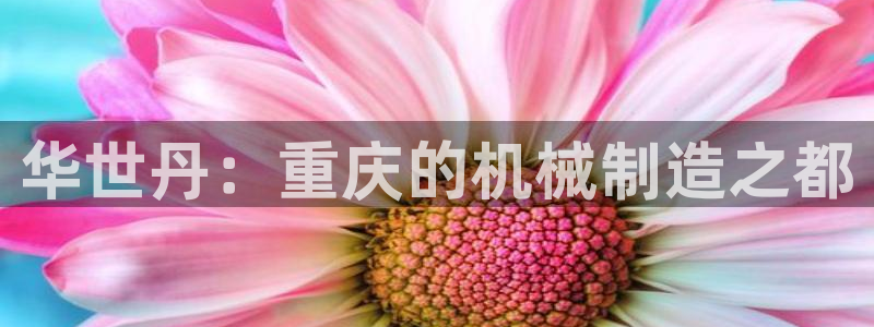 摩根娱乐开户总s管50015 18