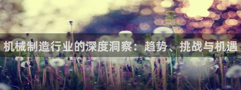 摩根娱乐宝怎么赚钱的