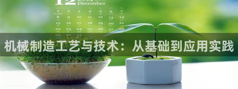 芜湖摩根一百有哪些娱乐