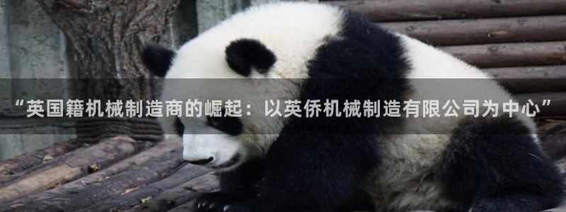 重生娱乐美日混血摩根