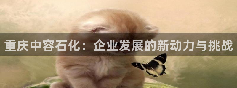 义乌摩根娱乐会所消费