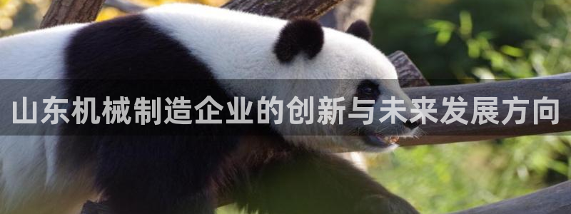 泉州摩根娱乐会所招聘