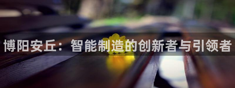 济宁摩根国际娱乐