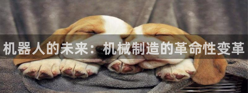 摩根国际娱乐宝书籍