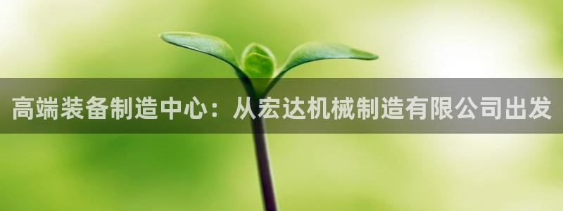 摩根娱乐宝k线图