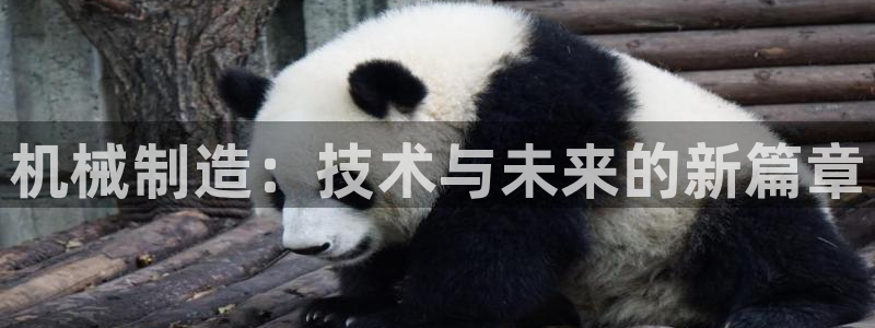 泉州摩根娱乐会所怎么样