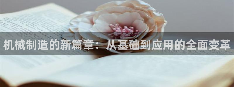 白宫摩根娱乐场所