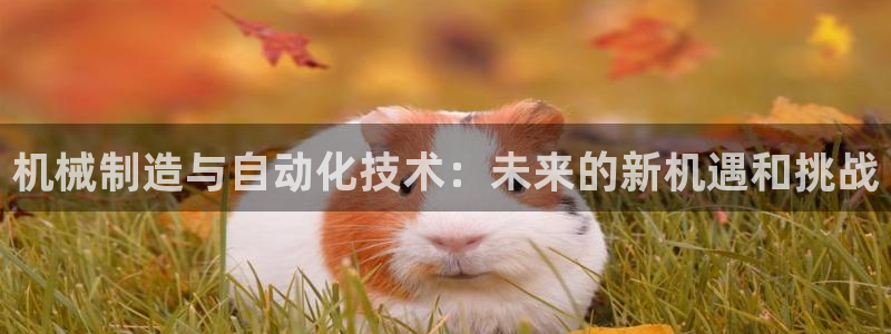 摩根娱乐1老o板50820