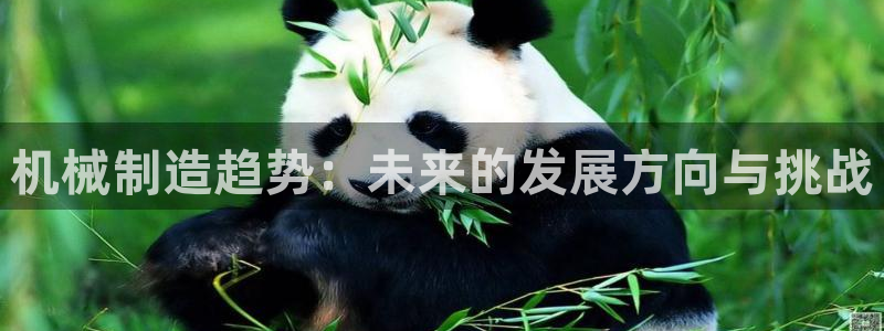 摩根娱乐宝总部