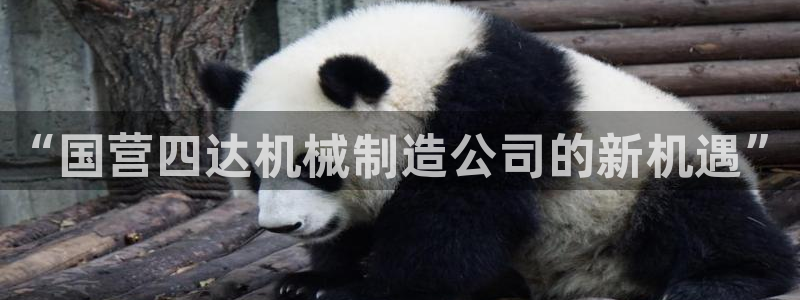 摩根国际娱乐宝进不去