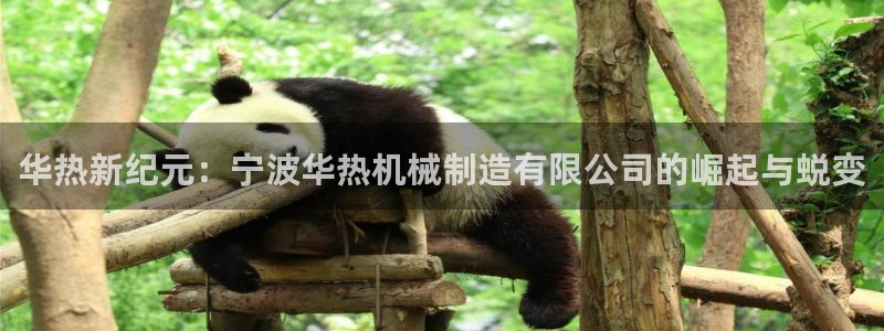 摩根娱乐云挂机项目